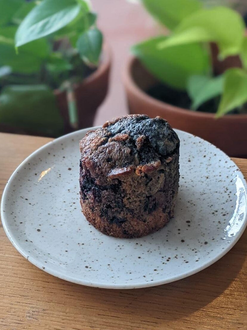 muffin myrtilles